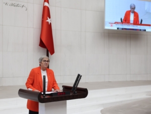  KADINLAR EN ÇOK AİLE BİREYLERİ TARAFINDAN ÖLDÜRÜLDÜ
