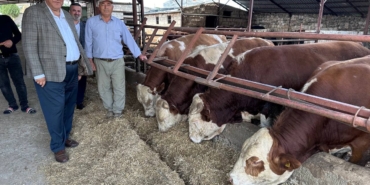  HAYVAN İTHALATINDA TARİHİ REKOR