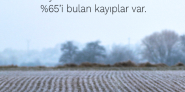 Meyve üretiminde büyük kayıp!