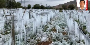 Zirai Don Zararları: Meclis’te Tartışma Patlak Verdi