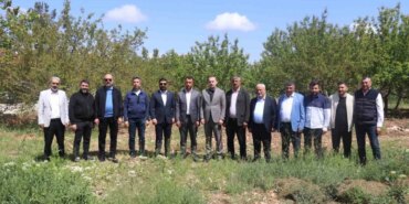 Malatya’da Kayısı Krizi: Çiftçilere Destek Çağrısı