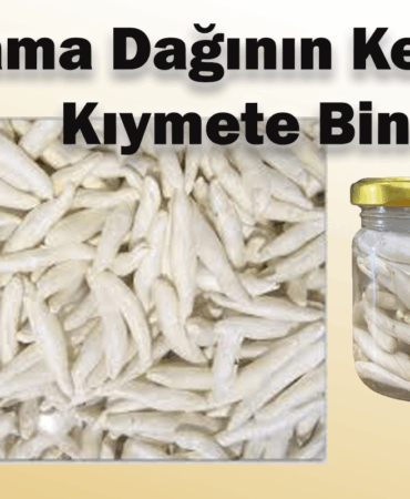 Kengeri Sivas’ta 12 Bin Tl ye Satıyorlar