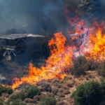 Büyük Tehlike Orman Yangınları