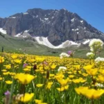 ZORLUKLARA HÜKMEDEN KOLAYLIKLARA ULAŞIR