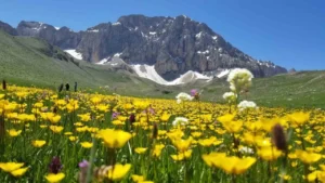 ZORLUKLARA HÜKMEDEN KOLAYLIKLARA ULAŞIR