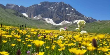 ZORLUKLARA HÜKMEDEN KOLAYLIKLARA ULAŞIR