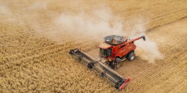 HUBUBATA MAHÇUP FİYAT