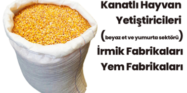 DEVLET MISIR SATIYOR