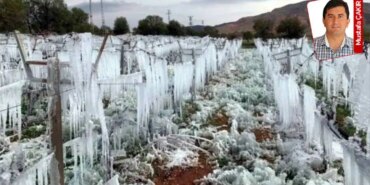 Çiftçiye TARSİM Güvenmiyor: Zarar Hesapları Tartışmalı