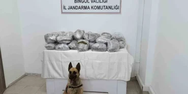Bingöl’de 49 Kilo Uyuşturucu Ele Geçirildi!