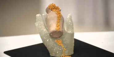 Cam Atıkları Sanatla Hayat Buldu!