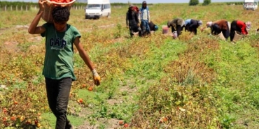 Müşteri Kendi Seçiyor!!