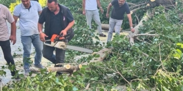 Arapgir’de Fırtına Meyve Ağaçlarını Devrildi!