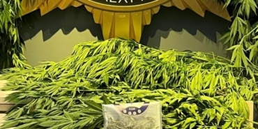 Uyuşturucu Operasyonunda 9 Gözaltı ve Tutuklama!